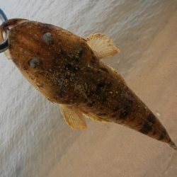 もう少しサイズが…