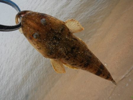 もう少しサイズが…