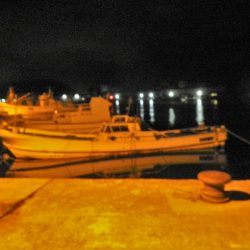 メバル狙ってシーバス