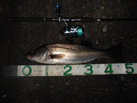 うにょうにょとJHリグを使い分けて。