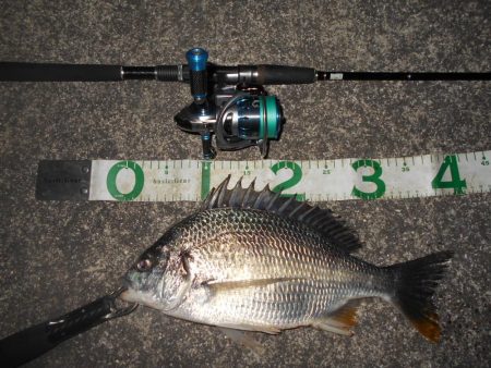 マイクロバチパターン？。