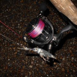 チビが多い…。