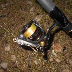 イレギュラーな動きに反応有り。