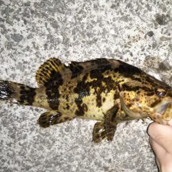 鳴門でライトゲーム