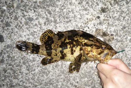 鳴門でライトゲーム