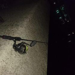 ３日連続アジング