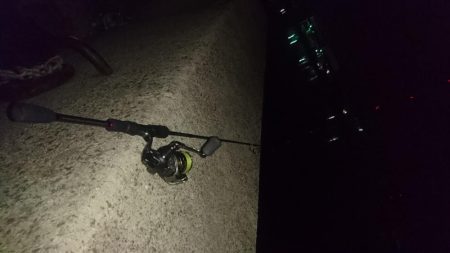 ３日連続アジング