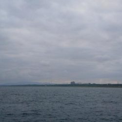 青物狙いでしたが・・・＞＜