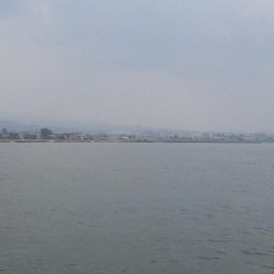 今年初キジハタ