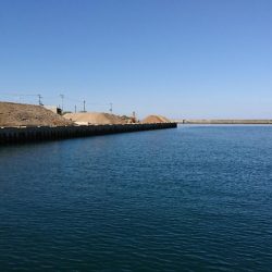 五目釣り、キス釣り