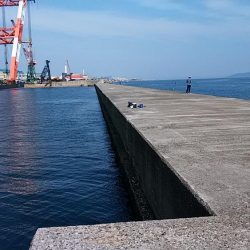 久々の播磨新島で満足釣果