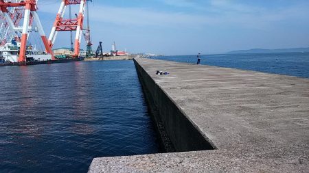 久々の播磨新島で満足釣果