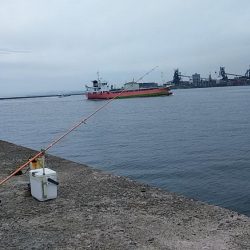 今日も播磨新島でキス狙い