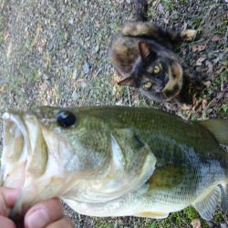 今日もカバー奥にピッタリ