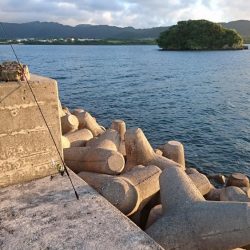 強風でなかなか渋いです。