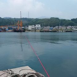 富島港内でキス狙い