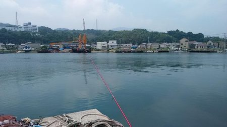 富島港内でキス狙い