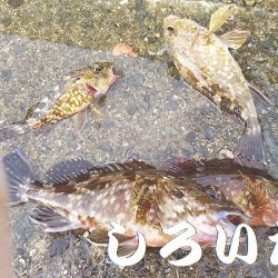 今日も行ってきました！