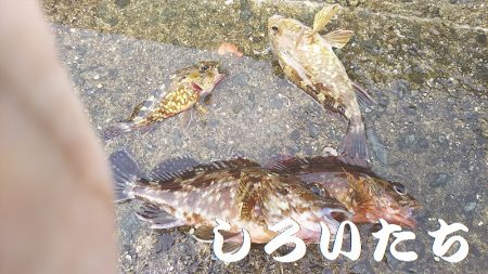 今日も行ってきました！