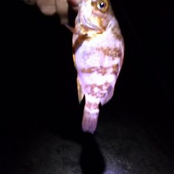 2日目もキスを狙うが・・・。