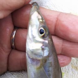 ガッシー、移動してキス。