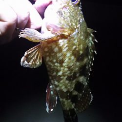 初めての場所。