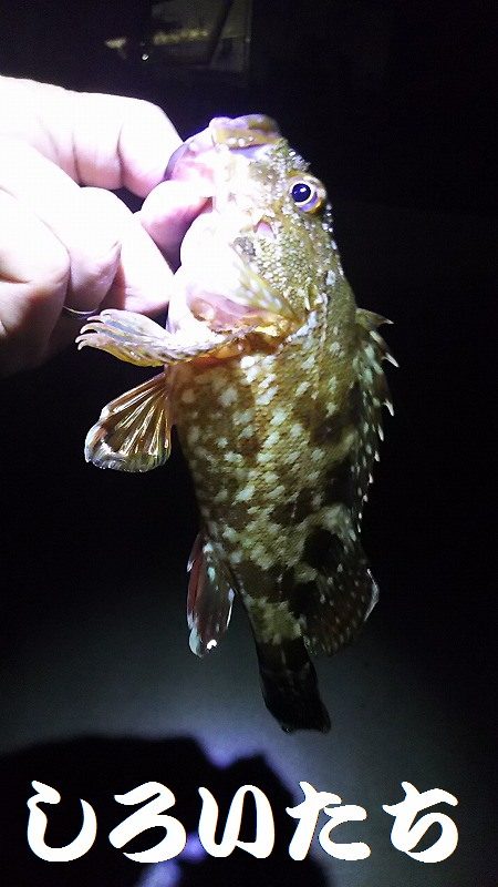 初めての場所。