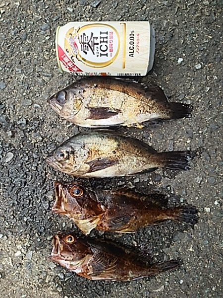 豪雨直後のベタ凪