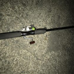 夜釣りなのに。