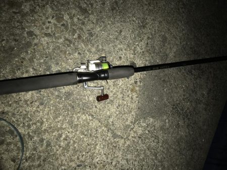 夜釣りなのに。