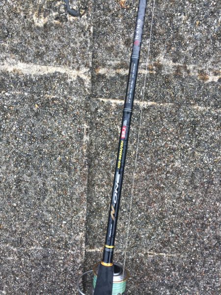 ショアラバ マゴチ