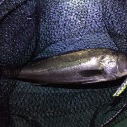 バチパターン初の友人1本＆自分10発w