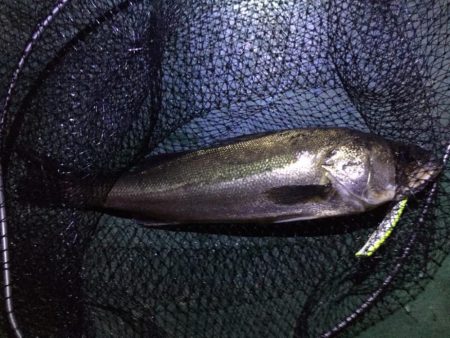 バチパターン初の友人1本＆自分10発w