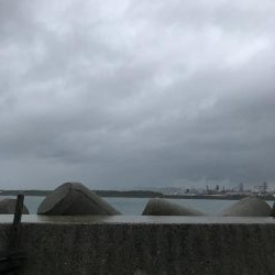 荒れる前にちょっとだけ