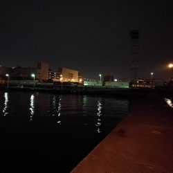 南港フェリーヘチ釣行 (好調キビレチヌ(44.5cm他)ガシラ3匹釣果)