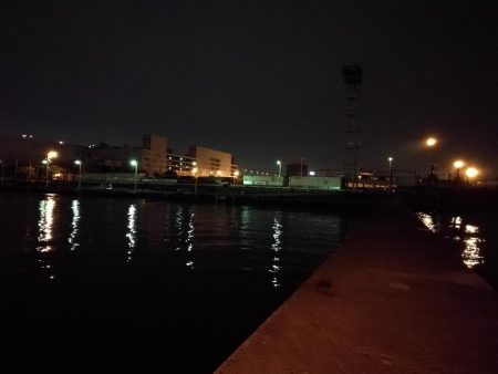 南港フェリーヘチ釣行 (好調キビレチヌ(44.5cm他)ガシラ3匹釣果)