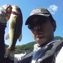 バスは見えますが…