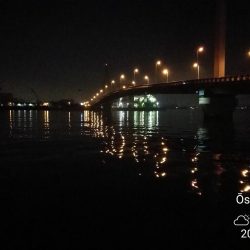 南港カモメ大橋釣行 (なんとか36cmキビレチヌ釣果他有り)