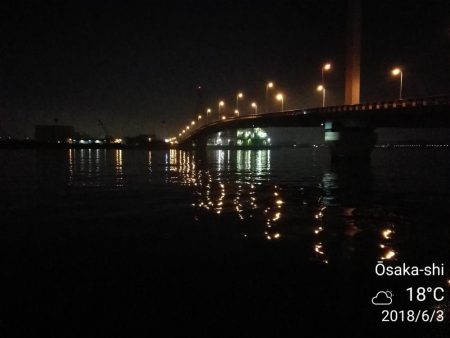 南港カモメ大橋釣行 (なんとか36cmキビレチヌ釣果他有り)