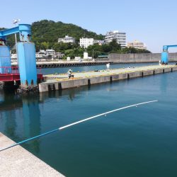 キス狙いのはずが、、、