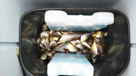 岸和田一文字 北の沖