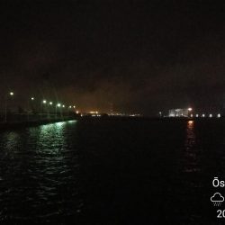 南港フェリーヘチ釣行 (雨天前キビレチヌ(39と37cm)ガシラ3匹釣果)