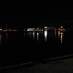 南港フェリーでヘチ釣行 （台風後のキビレチヌ3匹,ガシラ７匹釣果）