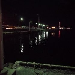 南港フェリーでヘチ釣行 （なんとかキビレチヌ（36.5cm他）ガシラ頭20ｃｍ5匹釣果）