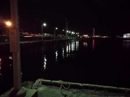 南港フェリーでヘチ釣行 （なんとかキビレチヌ（36.5cm他）ガシラ頭20ｃｍ5匹釣果）