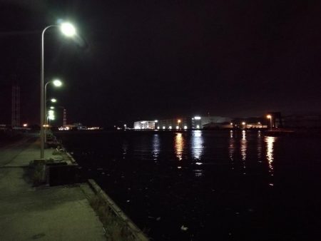 南港フェリーでヘチ釣行 （キビレチヌ（36cm他）小ガシラ釣果）