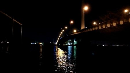 南港カモメ大橋のヘチ釣行 (久々の40upキビレ41cm釣果他)