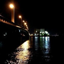 南港カモメ大橋のヘチ釣行 (キビレ38cm他釣果有りマス)