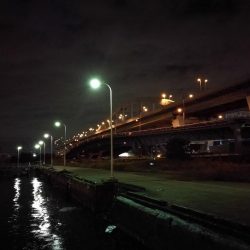 南港フェリーでヘチ釣行 （キビレチヌ（33cm他）ガシラ釣果）