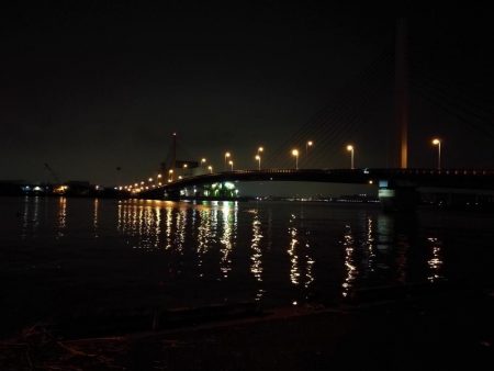 南港カモメ大橋のヘチ釣行 (小キビレ、黒メバル25cm釣果他有り!)